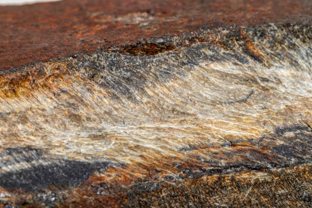 istock Macro mineral stone Snake eye in the rock a white background 1054645580