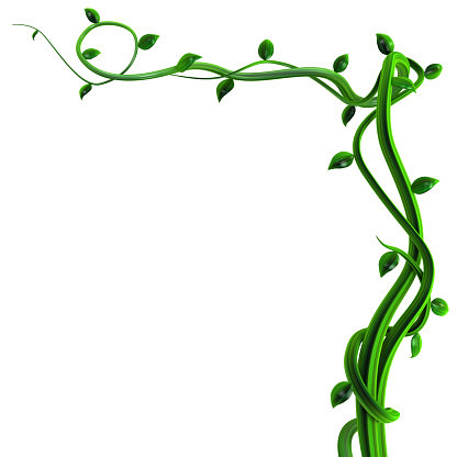 Plant vines green growing twisting corner, 3d illustration, horizontal, isolated, over white