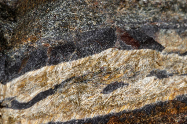 istock Macro mineral stone Snake eye in the rock a white background 1054645678