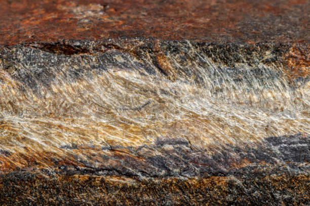 istock Macro mineral stone Snake eye in the rock a white background 1054645696