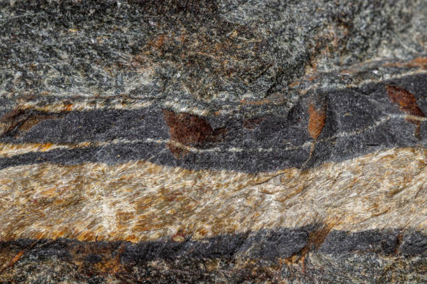 istock Macro mineral stone Snake eye in the rock a white background 1054645720