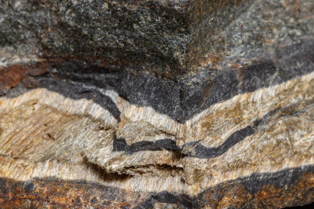 istock Macro mineral stone Snake eye in the rock a white background 1054645734