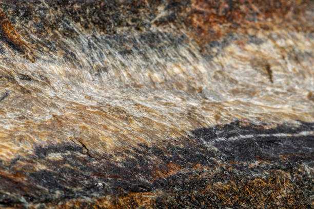 istock Macro mineral stone Snake eye in the rock a white background 1054645766