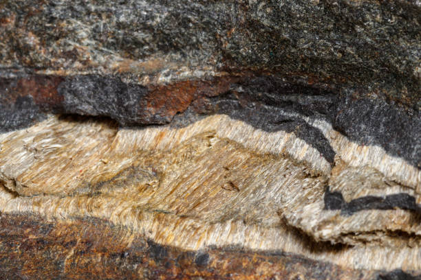 istock Macro mineral stone Snake eye in the rock a white background 1054645794