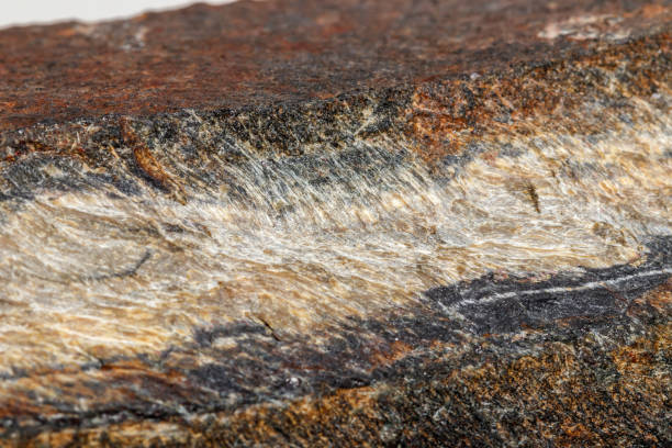 istock Macro mineral stone Snake eye in the rock a white background 1054645854