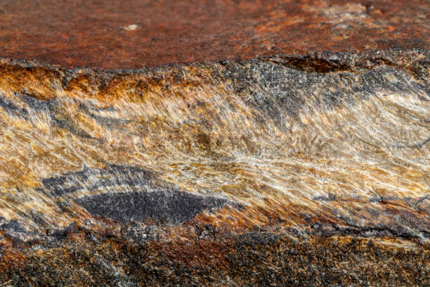 istock Macro mineral stone Snake eye in the rock a white background 1054645882