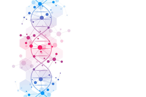 illustrations, cliparts, dessins animés et icônes de hélice d’adn et la structure moléculaire. concept de science et technologie avec fond de molécules. - 3503