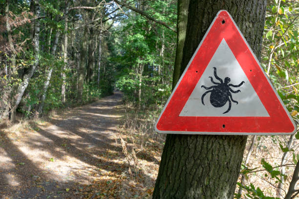 istock tick insect warning sign in forest 1054651530