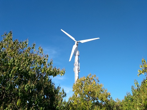 Bright blue sky electric turbine windmill and summer time foliage