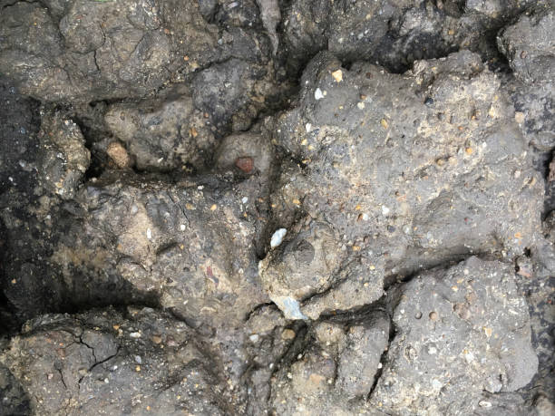 istock Dried cracked earth soil ground texture background. 1054657824