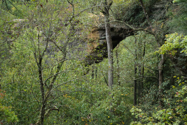 istock Images from Red River Gorge in autumn 1054660796