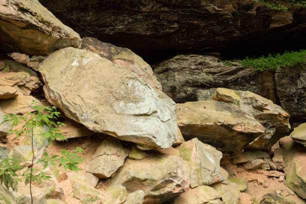 istock Images from Red River Gorge in autumn 1054664718