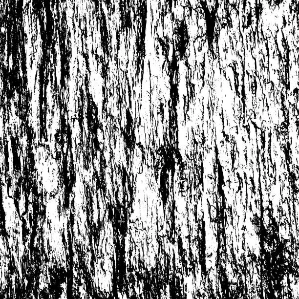 Vector illustration of Tree bark texture background vector