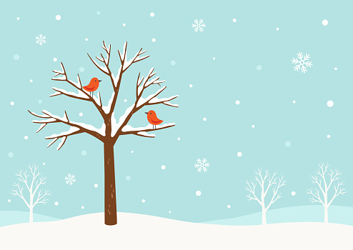 Winter background.Winter tree with cute red birds