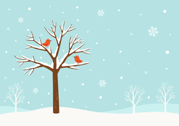 Winter background.Winter tree with cute red birds Winter,tree,bird,snow,holiday,Christmas,greeting,scene,snowflake,December,nature,design,background snow illustrations stock illustrations