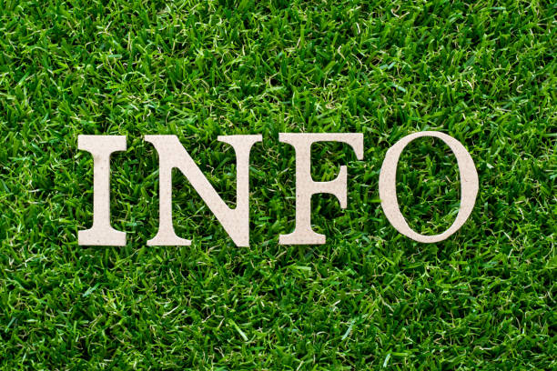 istock Wood letter in word info on artificial green grass background 1054670224