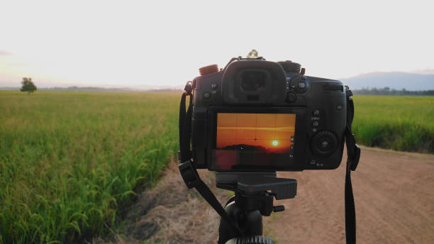 istock Take the photo in twilight. 1054678586