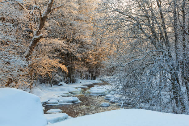 istock River flowing through a winter forest at dusk 1054683308