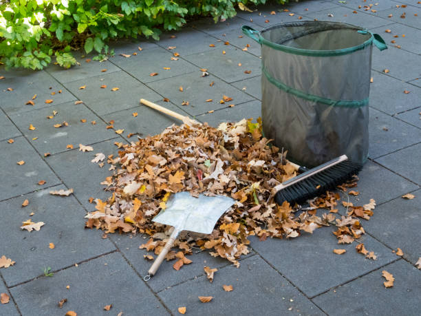 istock Falling leaves in autom have to be cleaned away 1054684288