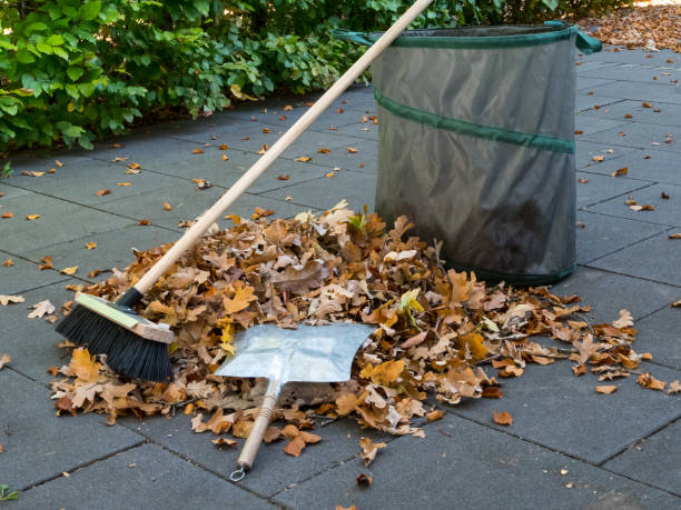 istock Falling leaves in autom have to be cleaned away 1054684326