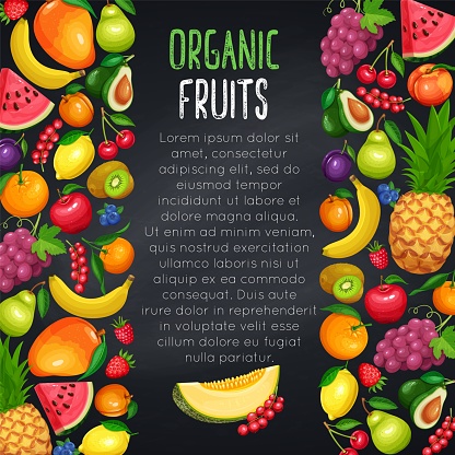 Fruits and berryes design page, border, vector illustration. Pineapple, raspberries, strawberries, grapes, currants and blueberries. Lemon, peach or apple pear orange watermelon avocado and melon