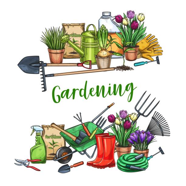 Gardening banner with tools Gardening banner. Garden tools, potted flowers and fertilizer in sketch style. Vector illustration. watering pail stock illustrations