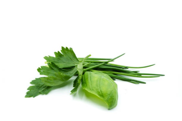 istock Herbs mix basil chive parsley isolated on white background 1054689246