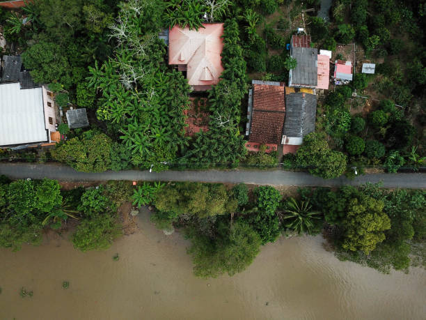 istock rain forest paradise background, shot with a drone, down facing shot, surrounded by palm trees, rain forest wood goals with Mekong 1054692004