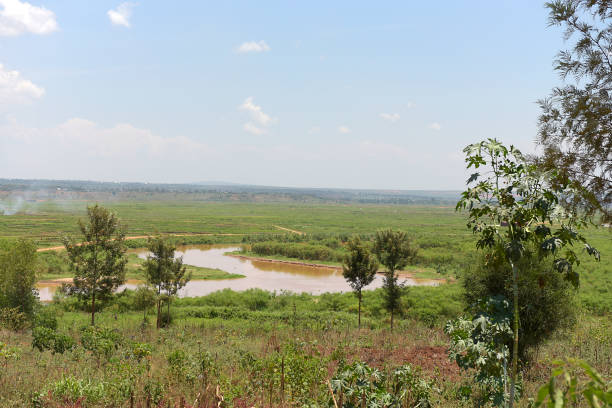 istock The Nyabarongo river in swamp of Bugesera - Rwanda 1054696656