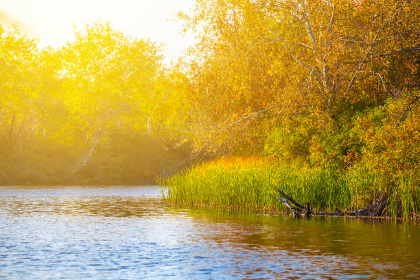istock evening autumn scene, small river in a sunlight 1054705580