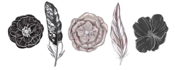 istock Monochrome detailed bird feathers and flowers isolated on white background. A set of beautiful bird plumage. Vector illustration. 1054706164