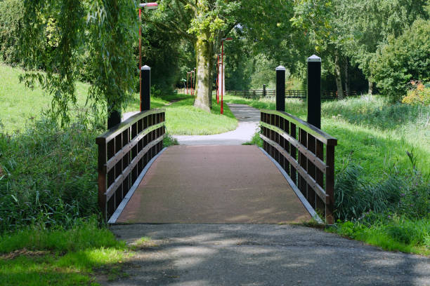 istock Wooden bridge over a pond 1054719274