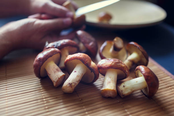 edible mushrooms lie on a wooden table in the morning light - fotografia de stock