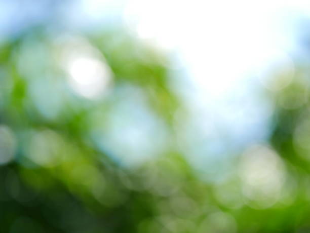 istock Green Abstract Background in public garden 1054725276
