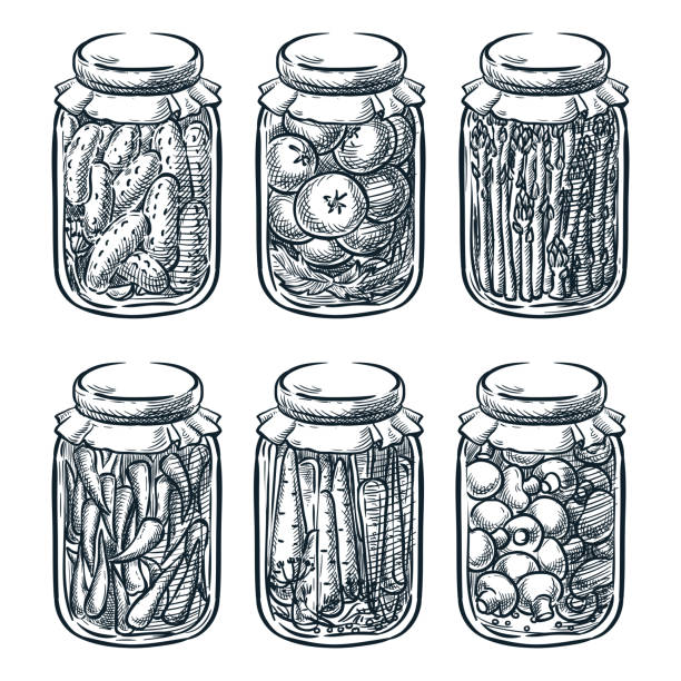 Pickled vegetables and mushrooms in glass jar, vector sketch illustration. Home made preserves hand drawn design elements.