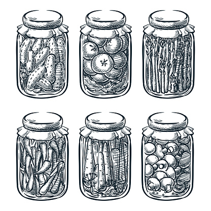 Pickled vegetables and mushrooms in glass jar, vector sketch illustration. Home made preserves hand drawn design elements.
