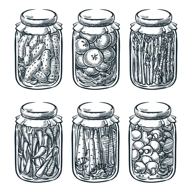 Vector illustration of Pickled vegetables, mushrooms in glass jar, vector sketch illustration. Home made preserves hand drawn design elements