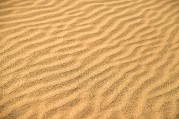 istock Sand dunes and blue sky in the desert 1054737448