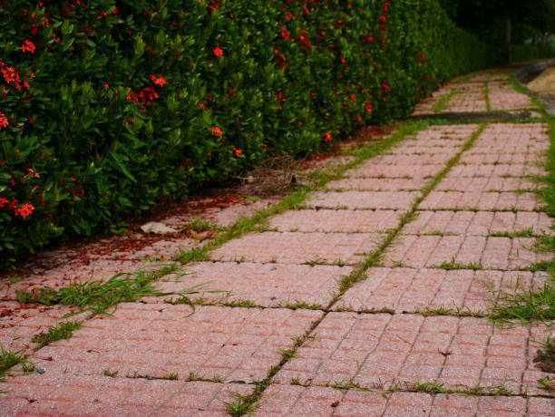 istock walkway block stone in garden 1054738066