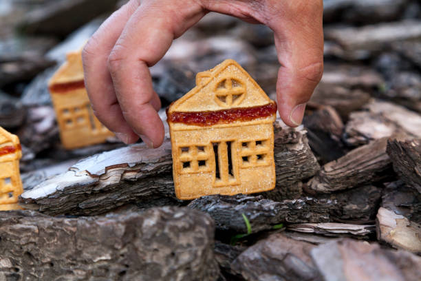 istock Biscuitshaped cookie stands on bark of  tree 1054743834