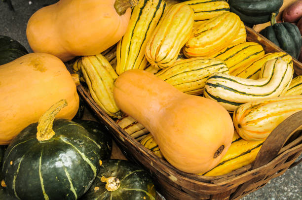 Winter Squash A basket of butternut, buttercup, acorn and  delicata, squash at a Vermont Farmers market squash vegetable stock pictures, royalty-free photos & images