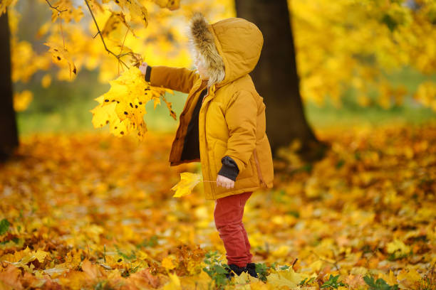 istock Little boy during stroll in the forest at sunny autumn day 1054748736