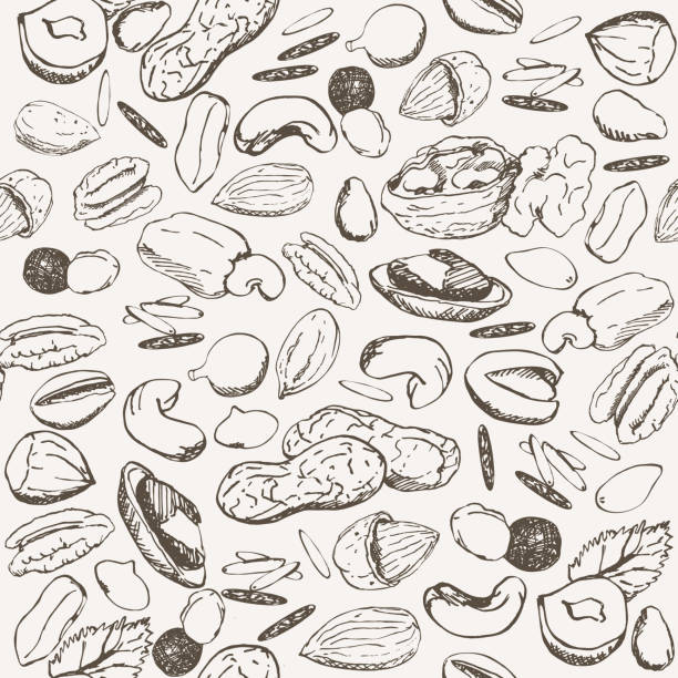 illustrations, cliparts, dessins animés et icônes de modèle d’écrou de croquis vintage sans soudure. - pine nut illustrations