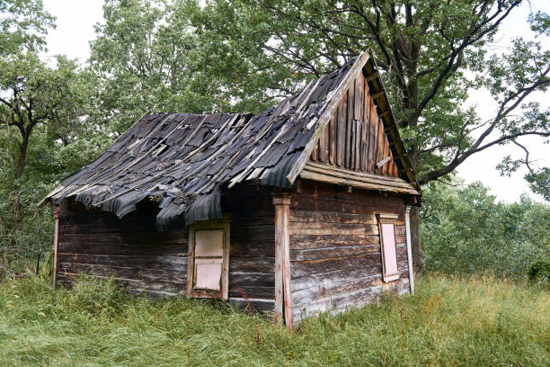istock old wooden house in the forest 1054756182