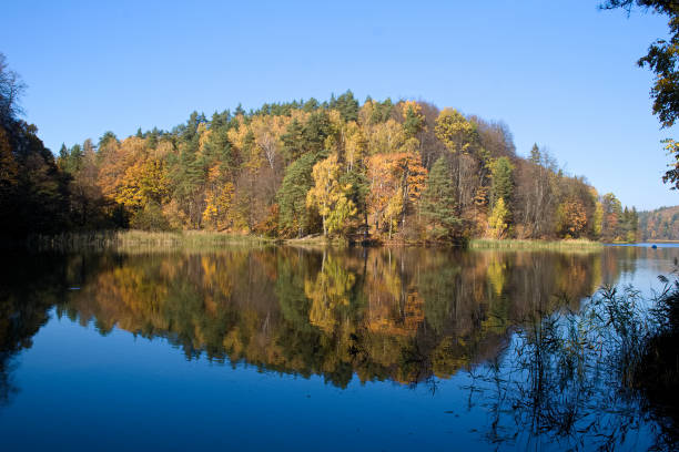 istock Beautiful colorful trees forest in Autumn 1054756302