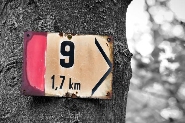 istock Signpost on a hiking trail 1054763314