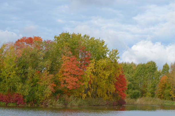 istock Autumn landscape in the Park. 1054764306