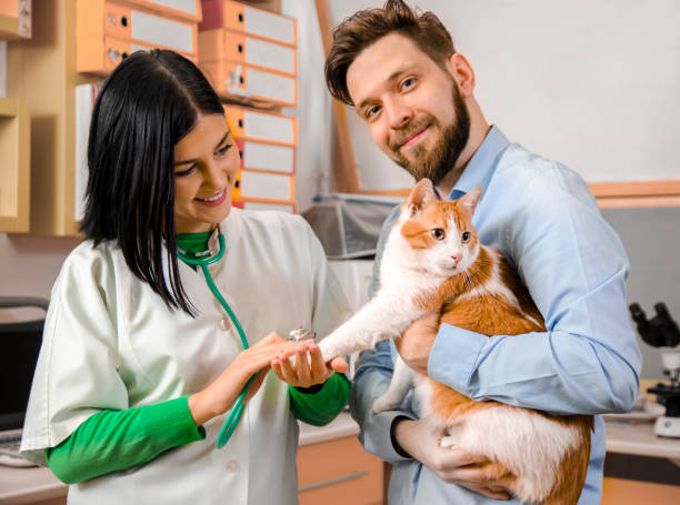 istock Man bringing his kitten at a vet clinic 1054775756