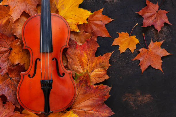 秋の黄色のカエデの古いバイオリンは、背景を残します。平面図、クローズ アップです。 - ragtime ストックフォトと画像