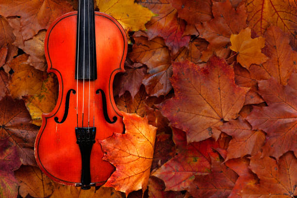 istock Old violin on yellow autumn maple leaves background. Top view, close-up. 1054777806
